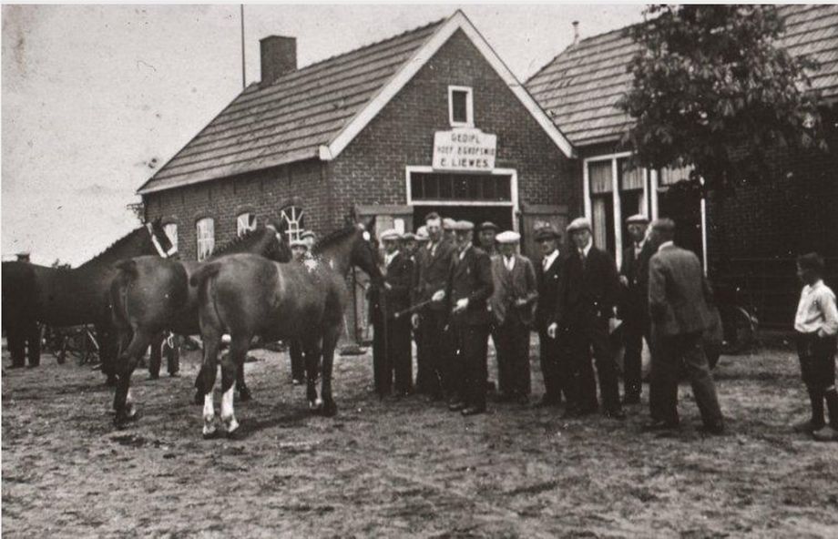 Roden - Liewes