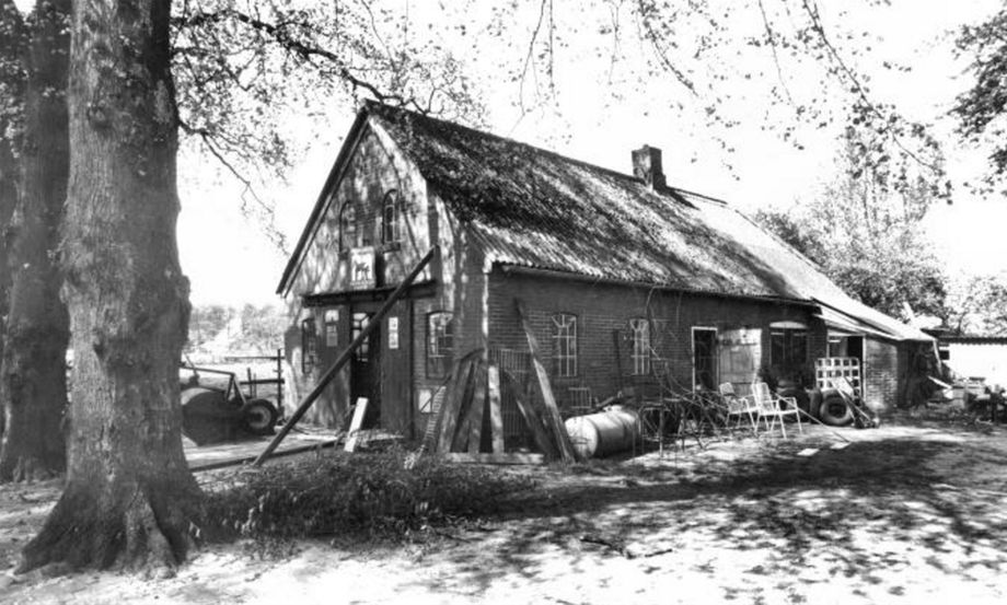 Zweeloo - Masselink - De Wheem 2