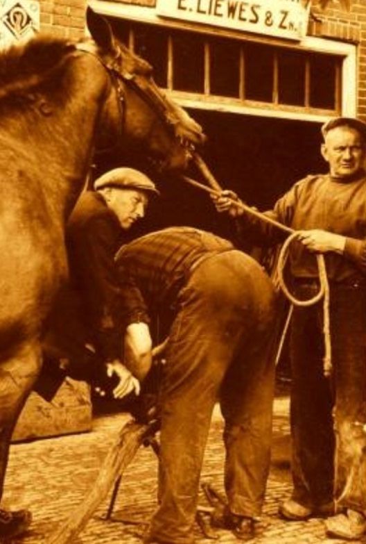 Liewes, Egbert (midden) en Evert (rechts) - Roden