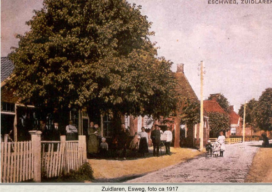 Zuidlaren - Bruins