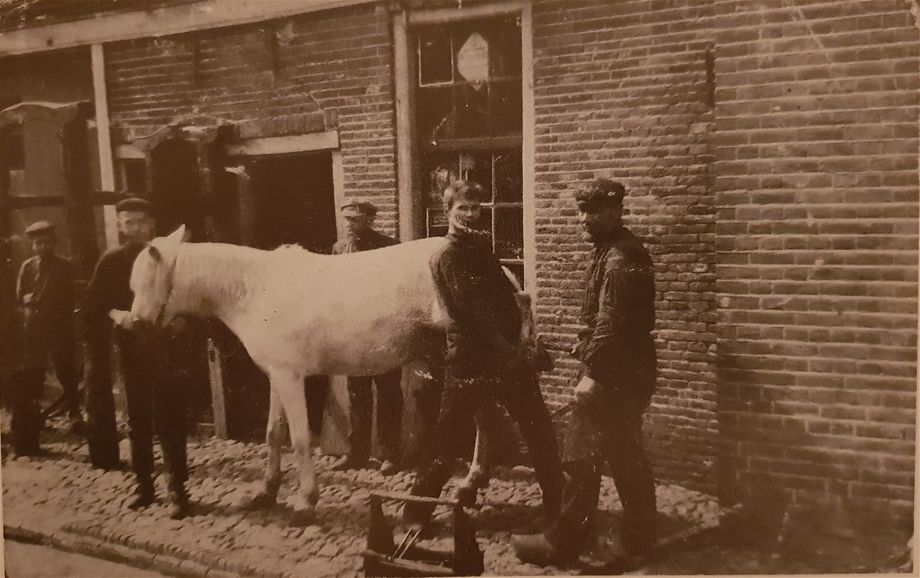 Beilen- Jan Lamers Beuving - Hekstraat
