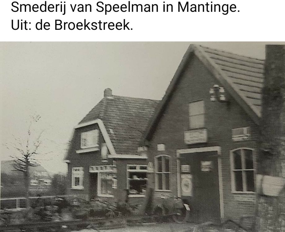 Mantinge - Alb. Speelman